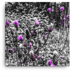 The Advent Collection Canvas Paintings (Discount in Link)